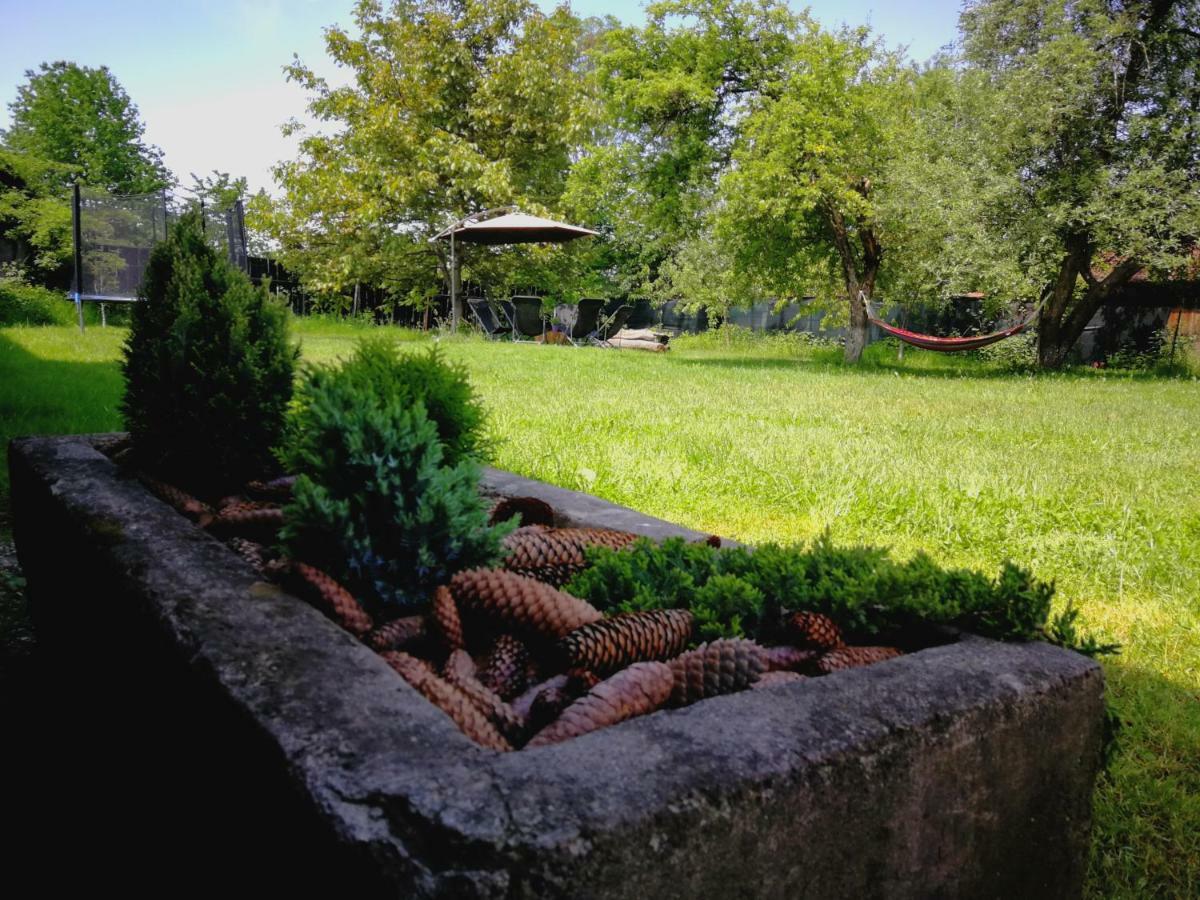Pensiunea Balea Sat Cartisoara Luaran gambar